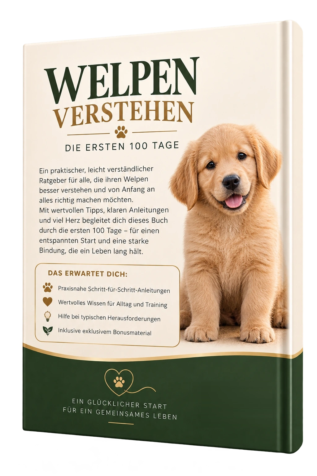 Welpen verstehen – Die ersten 100 Tage – Rückseite